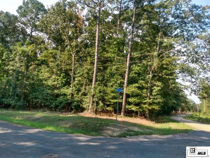 Property Photo: 0 Watson School Road LA 71292