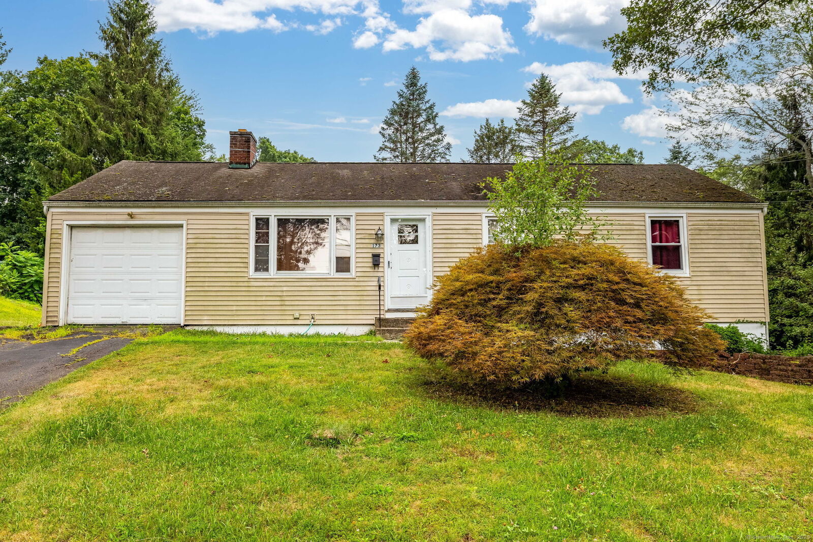 Property Photo: 173 Timber Trail CT 06109