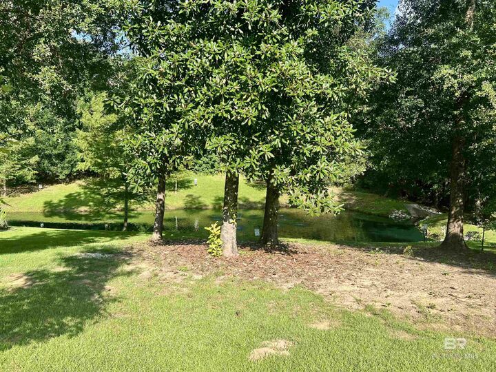 Property Photo:  Dover Street  AL 36532 