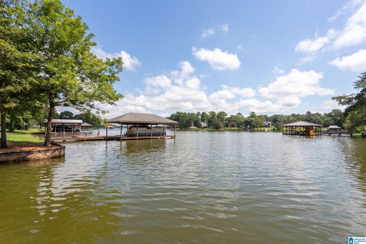 271 Fish Trap Road  Cropwell AL 35054 photo