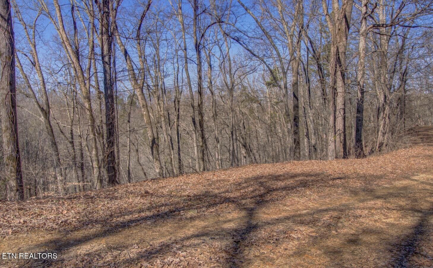 Property Photo:  4575 Crooked Creek Way Lot 3  TN 37803 