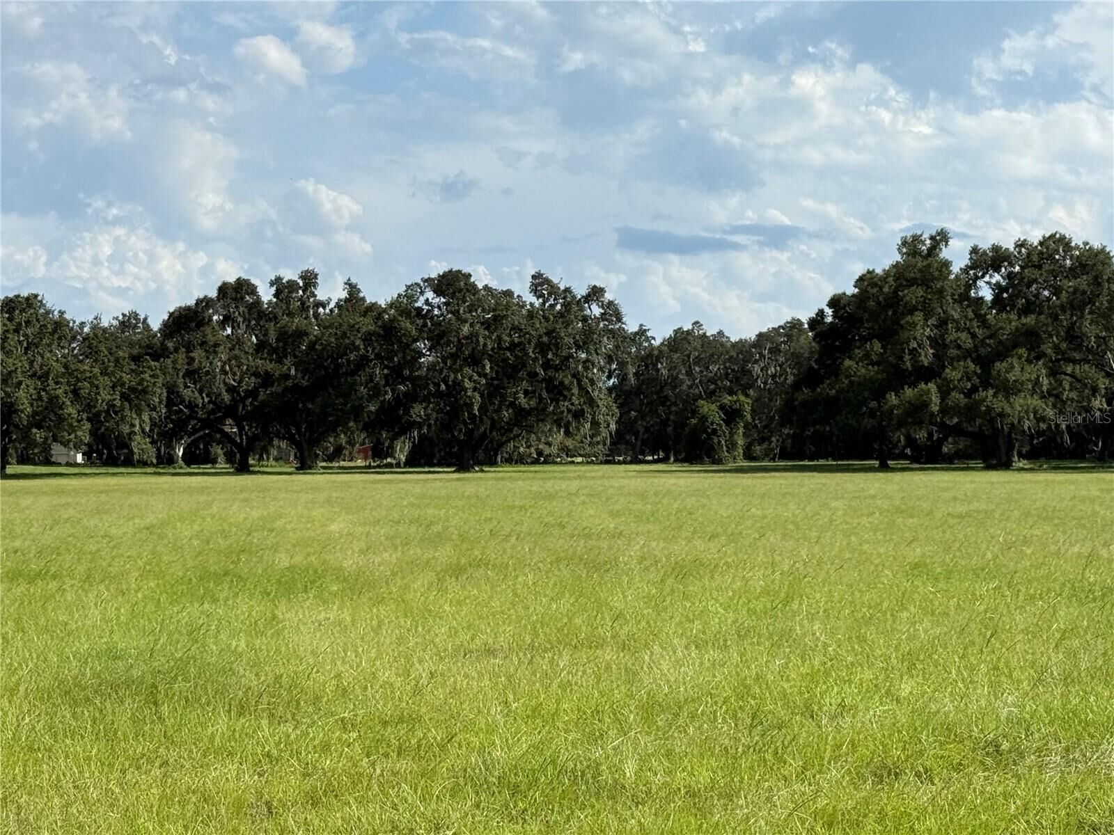 Property Photo:  C 478A  FL 33597 