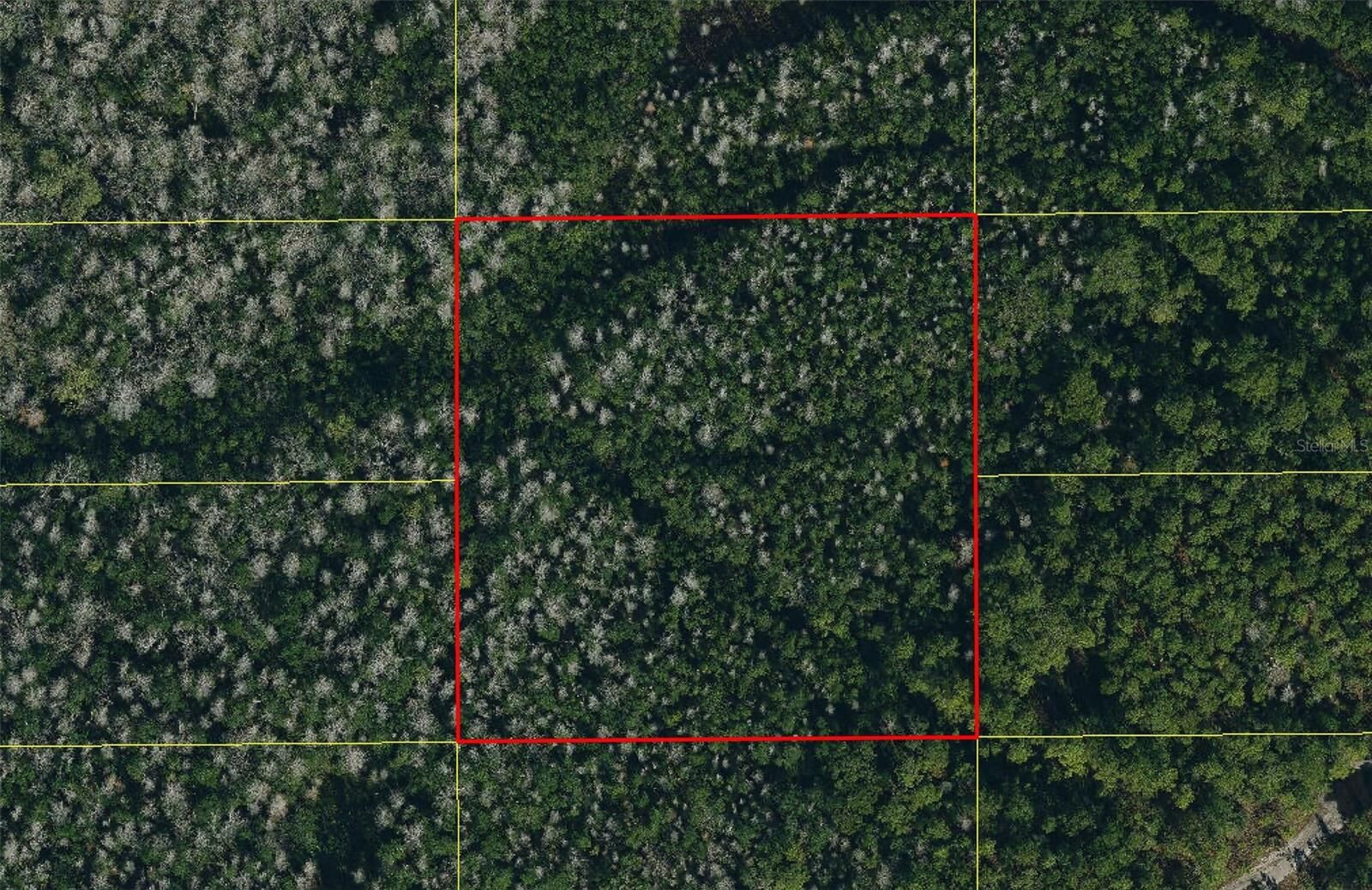 Property Photo: 0 Holopaw Groves Road FL 34773