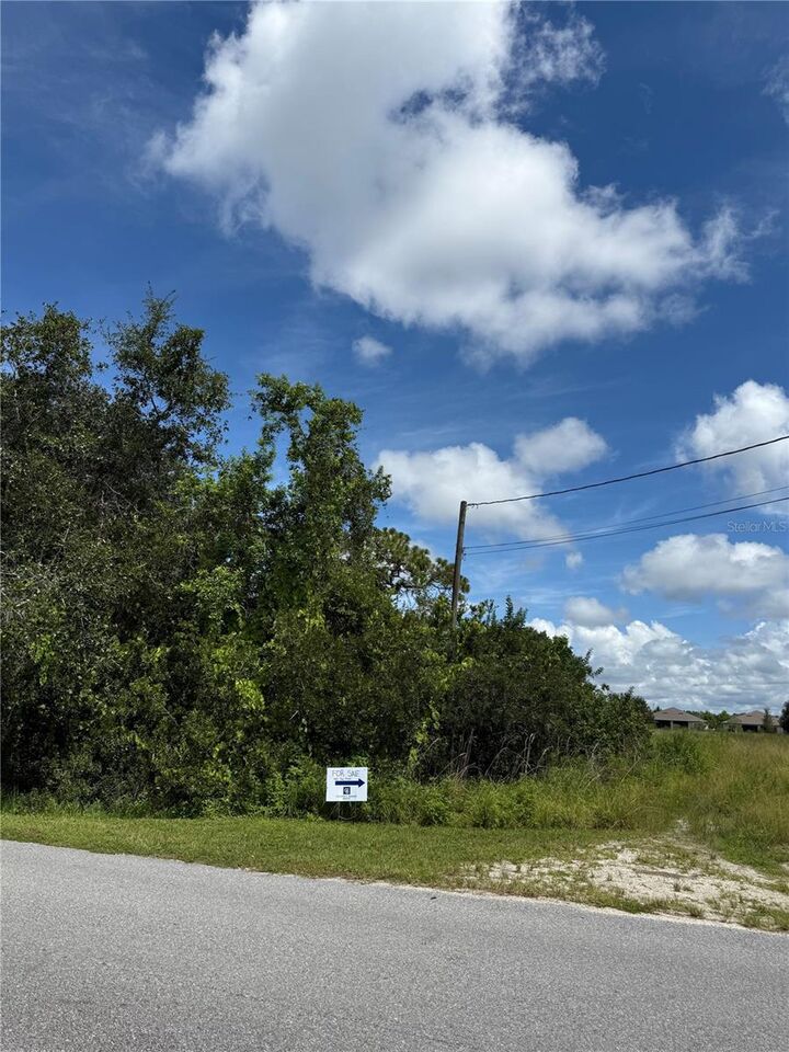 Property Photo:  5771 Leon Tyson Road  FL 34771 