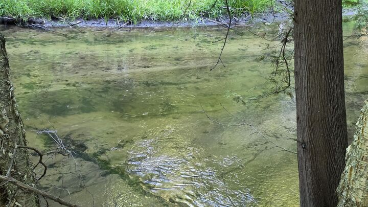 Property Photo:  V/L 2.46a E White River Drive  MI 49421 
