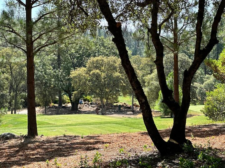 Property Photo: 4003 Summit View Court CA 95722