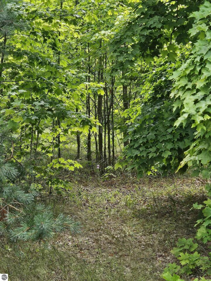 Property Photo: 0000 V/L "D" Grass Lake Road MI 49646