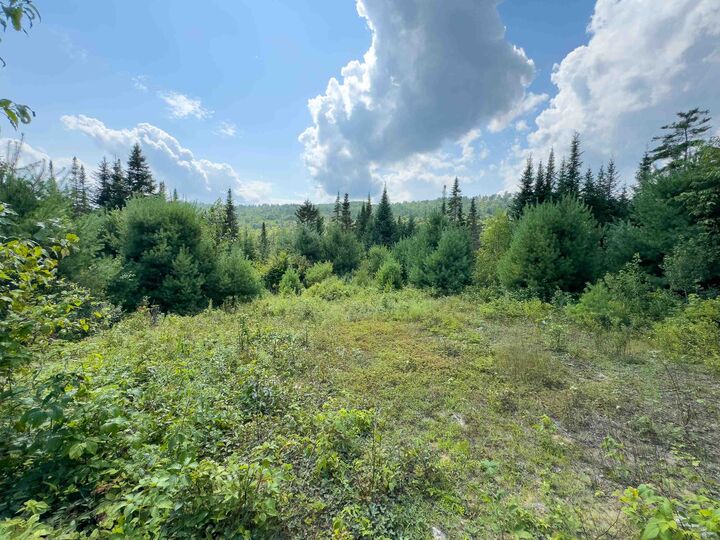 Property Photo: 00 Scotch Hollow Road VT 05051