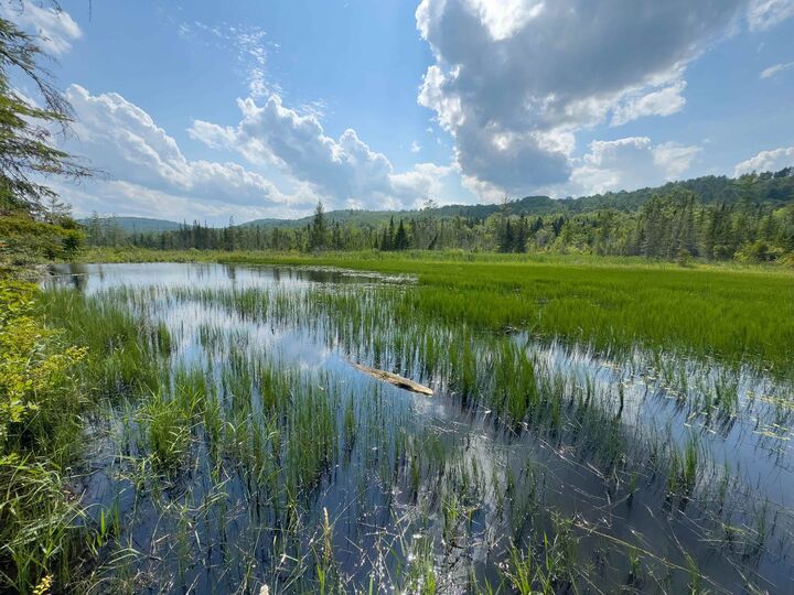 Property Photo:  00 Scotch Hollow Road  VT 05051 