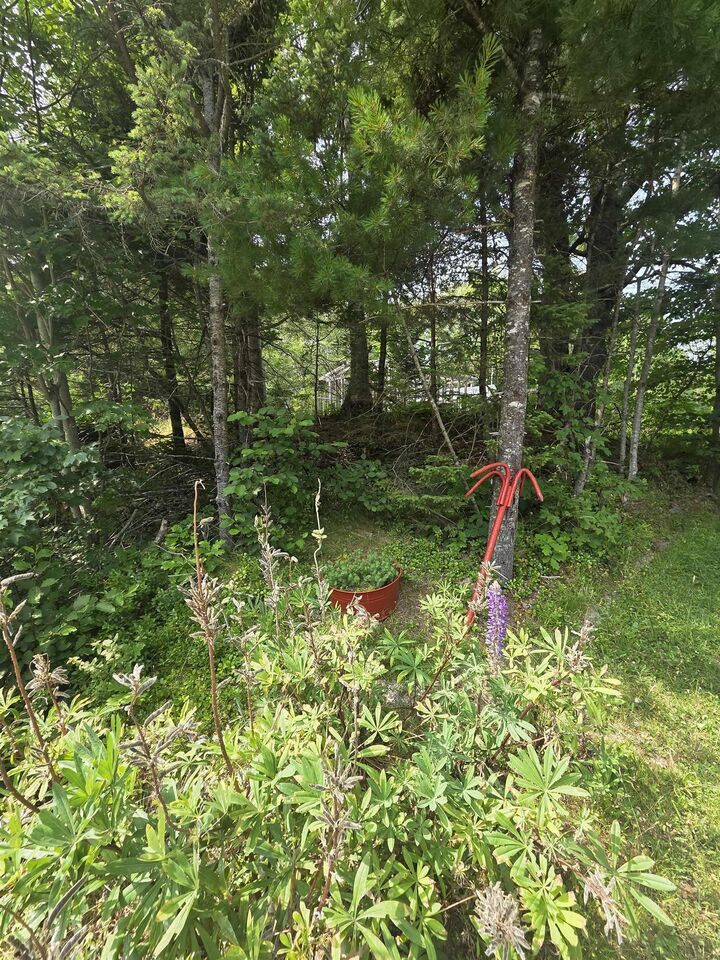 Property Photo:  Highway 103  NS B0T 1W0 