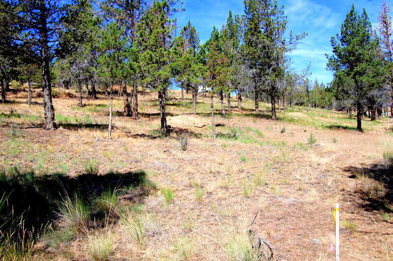 Property Photo:  NE Tl 700 Irvine Avenue  OR 97754 