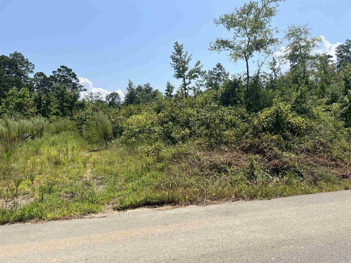 Property Photo: Tbd Green Acres AR 71929