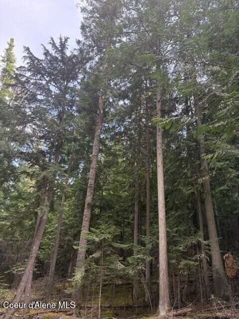 Property Photo: Tbd Big Buck Rd ID 83803