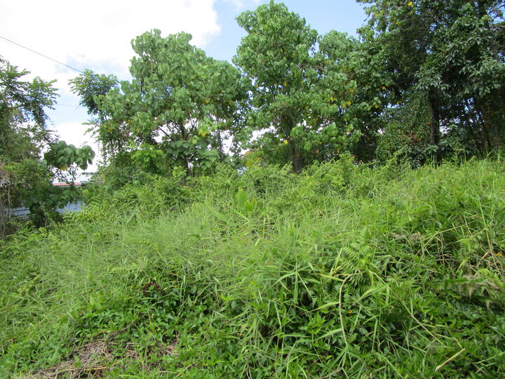 Property Photo: Kupulau Rd HI 96720
