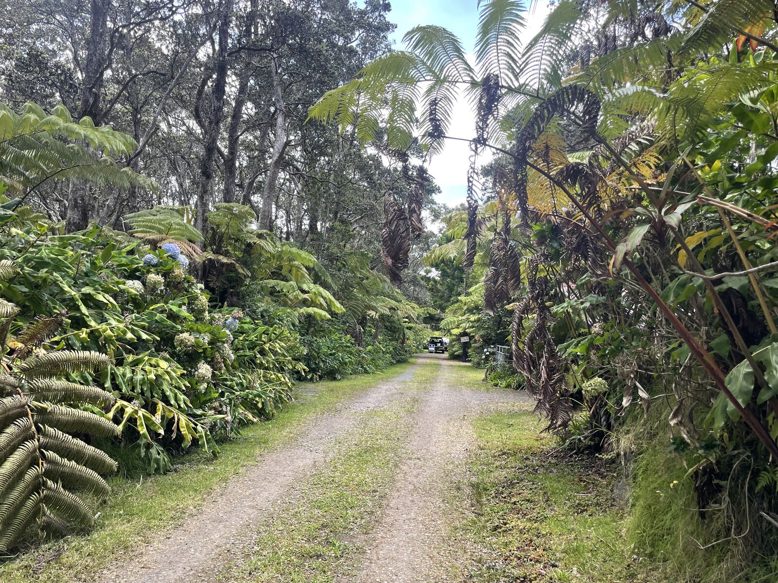 Property Photo:  19-4167 Kalani Honua Lp  HI 96785 