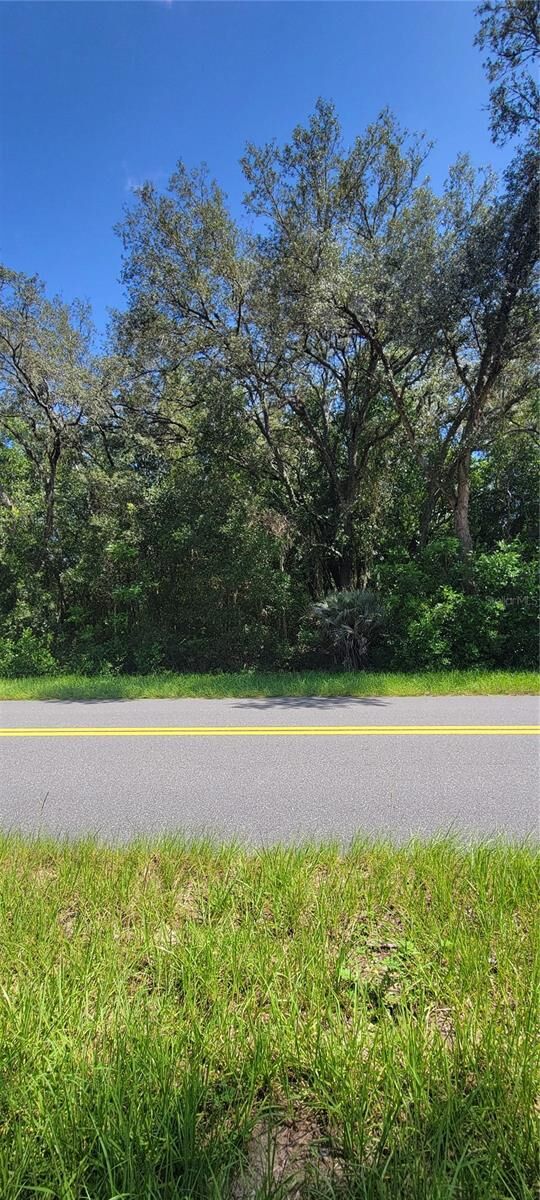 Property Photo: 0 SW Beach Boulevard FL 34431