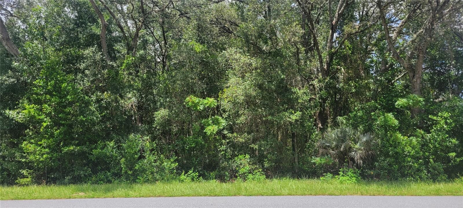 Property Photo: 0 SW Beach Boulevard FL 34431