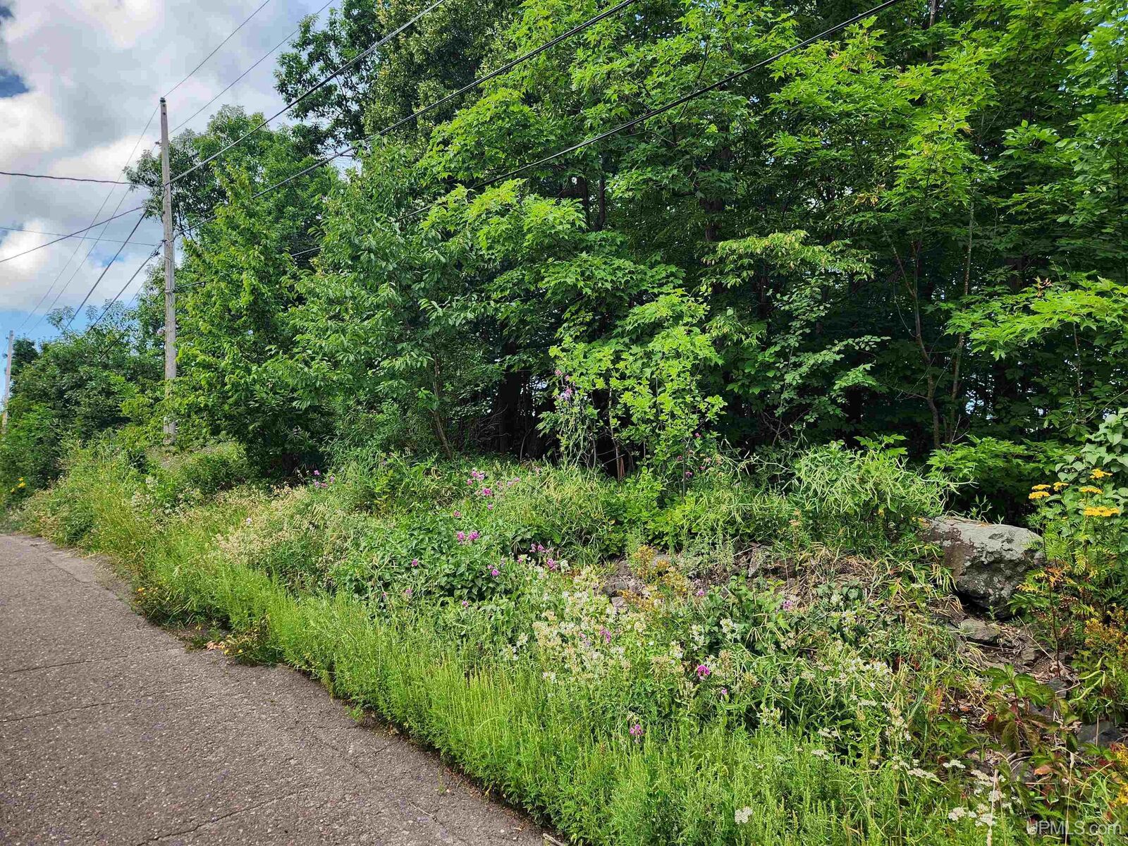 Property Photo:  Tbd 16 &Amp 17 Calverley Avenue  MI 49931 