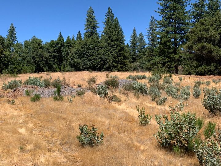 Property Photo:  20 Hawkeye Road  CA 95684 