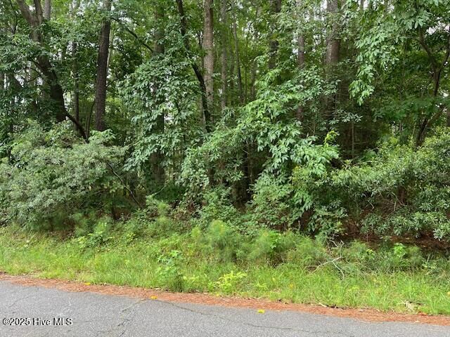 Property Photo:  206 Barrington Drive  NC 27886 