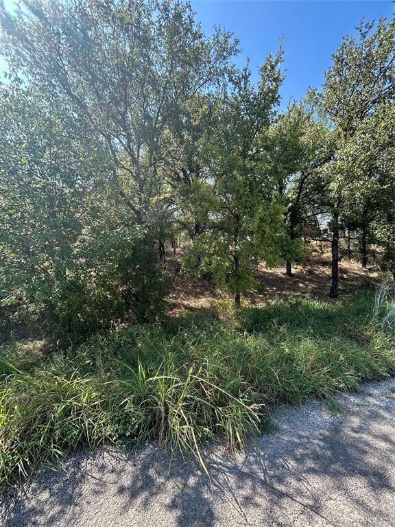 Property Photo:  Tbd Sam Houston  TX 76067 