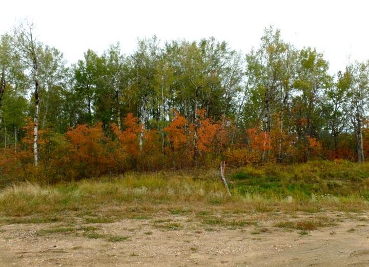 Property Photo: 1520018 - 1 - 1 Poplar Point AB T0A 2C0