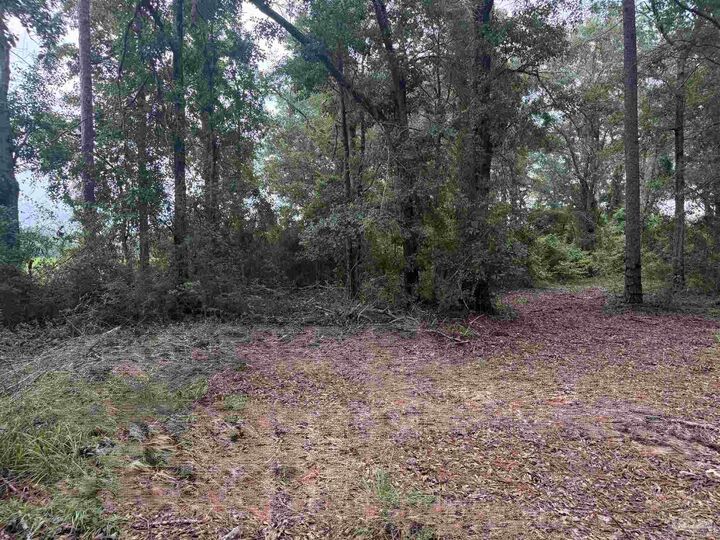 Property Photo:  3308 Deloach Ln  FL 32570 