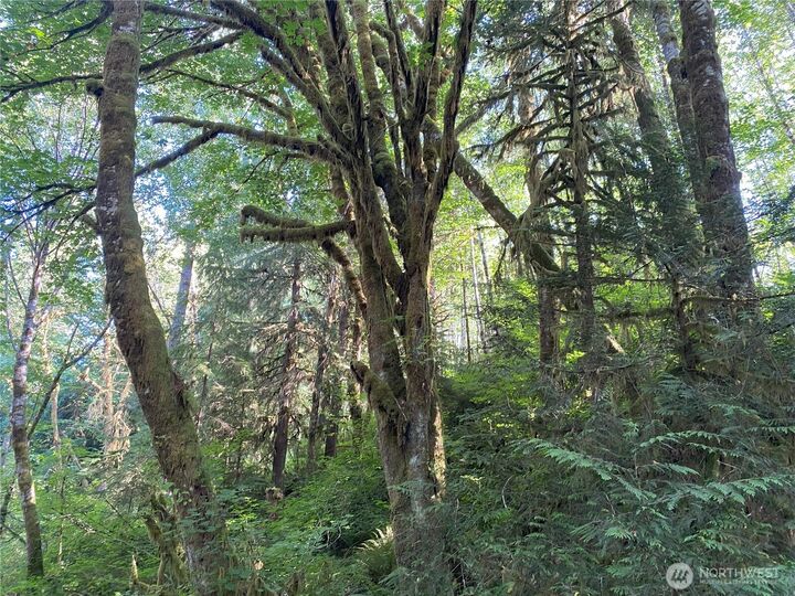 Property Photo:  565  Kallman Road  WA 98331 