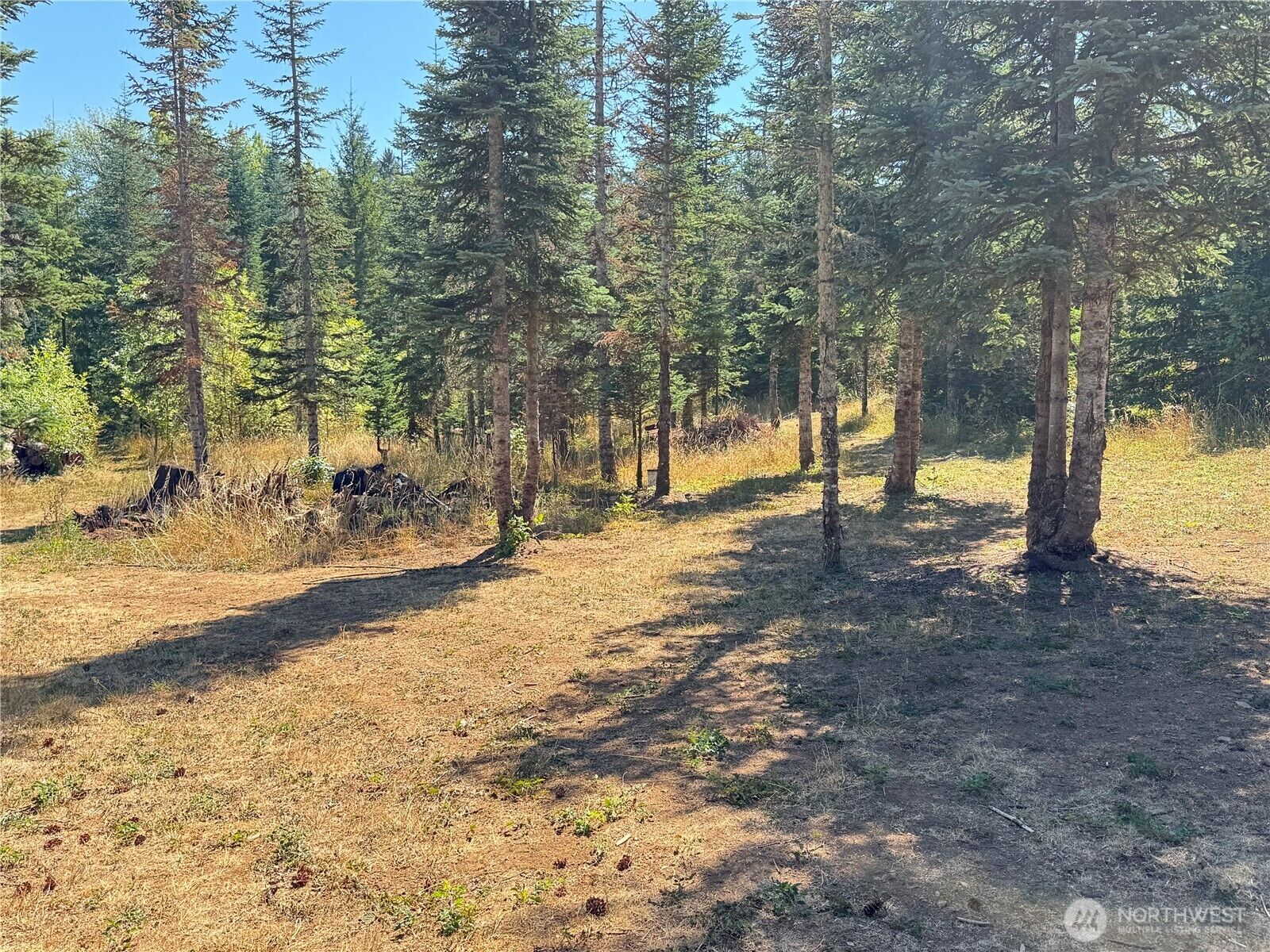 Property Photo: 143 Homer Lane WA 98532