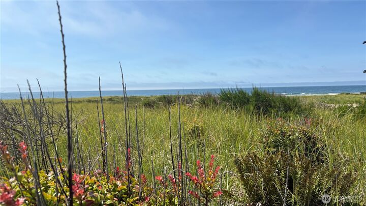 Property Photo: 615 Dune Crest Loop WA 98595