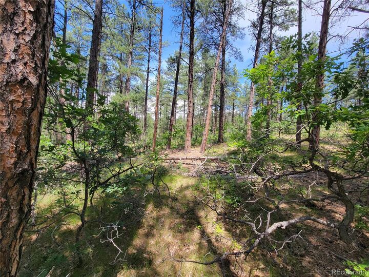 Property Photo:  7169 Independence Court  CO 80118 