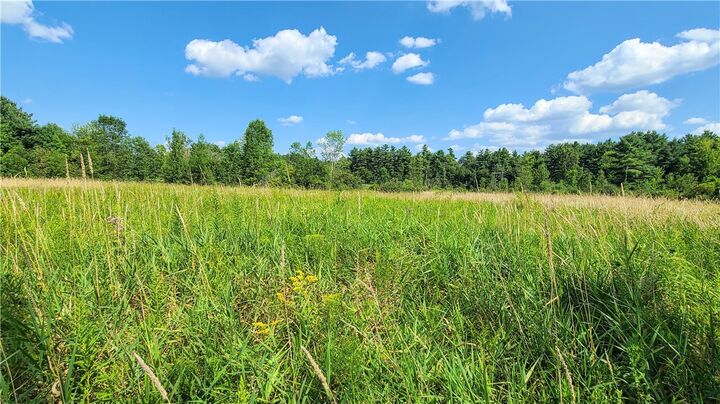 Property Photo:  Lot 1 Scofield Road  NY 13073 