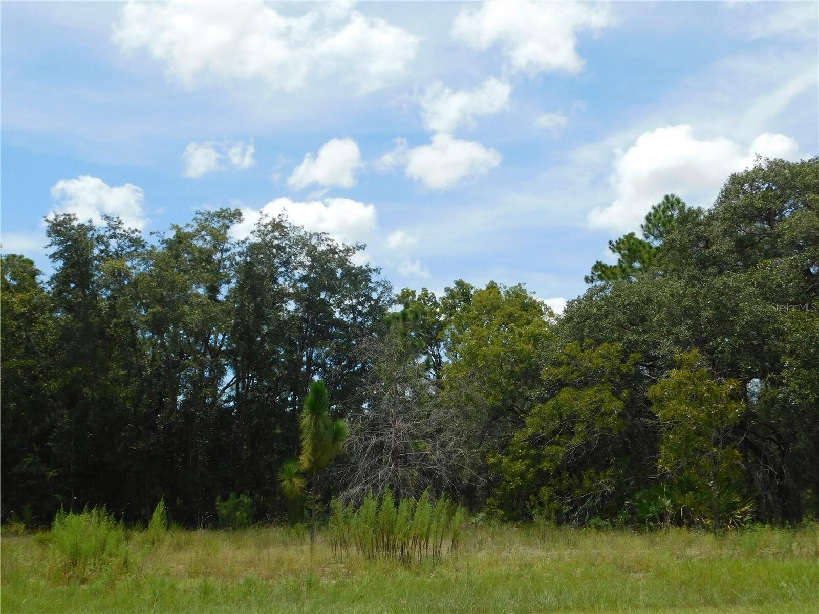 Property Photo: 6681 N Bedstrow Boulevard FL 34434