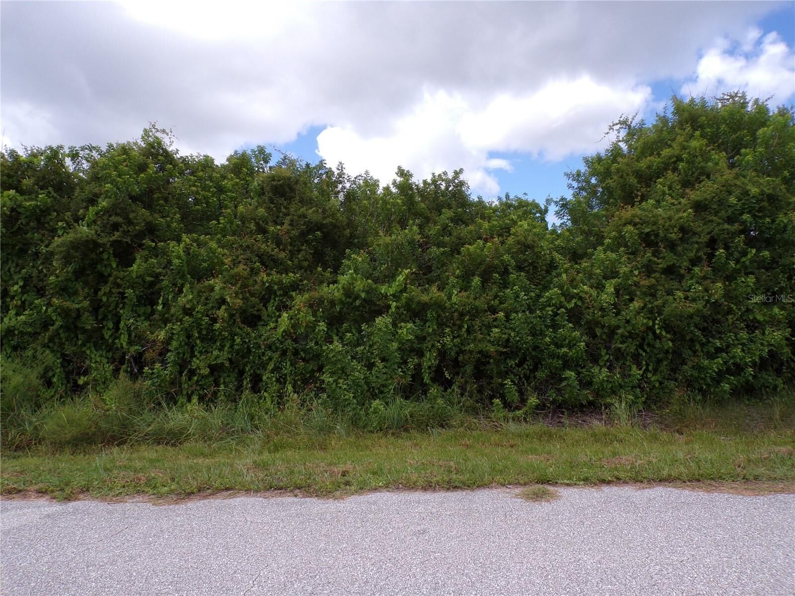 Property Photo: 12508 Rathwell Avenue FL 33981