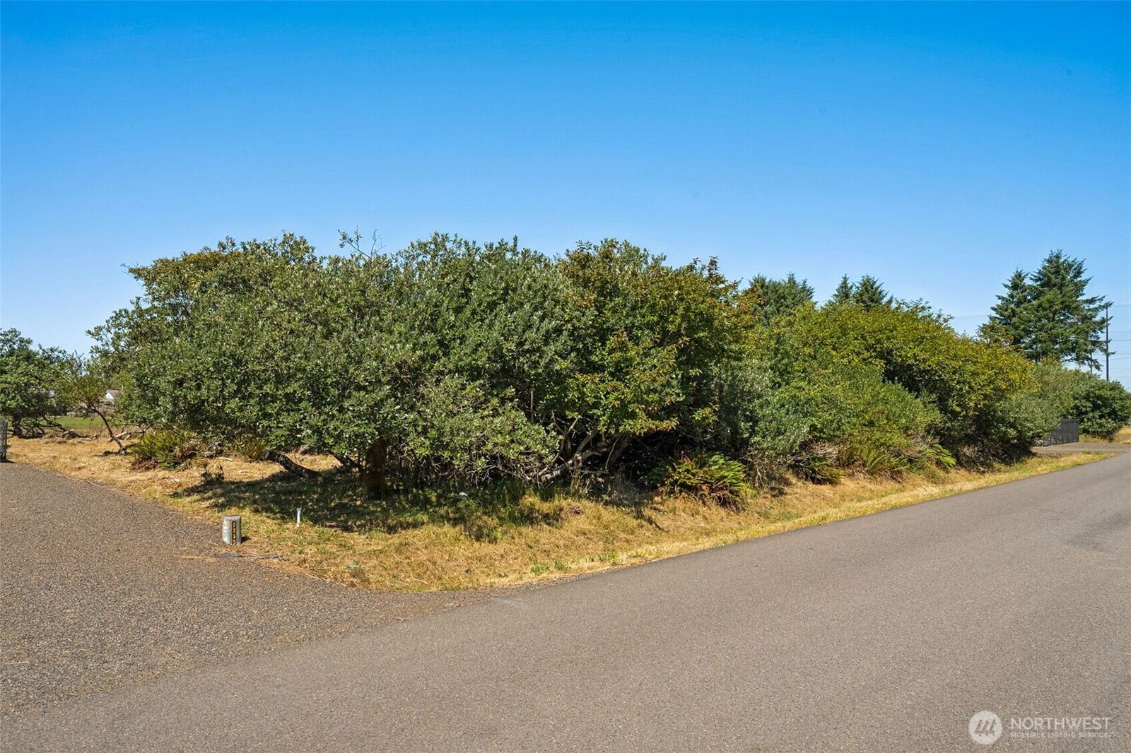 Property Photo:  465  Octopus Avenue NE  WA 98569 