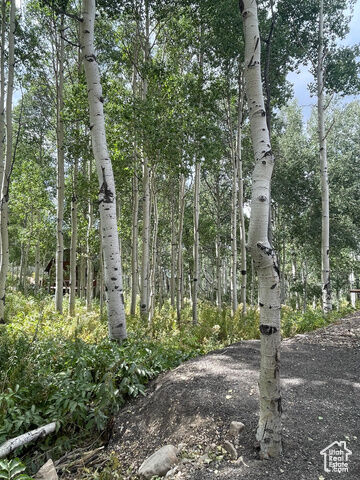 Property Photo:  11485 Violet Way 1845  UT 84032 