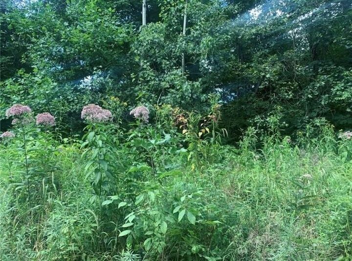 Lot 2B & 4 Vickerman Rd  E Lackawannock Twp PA 16137 photo