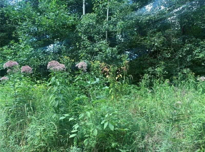 Property Photo: Lot 2B & 4 Vickerman Rd PA 16137