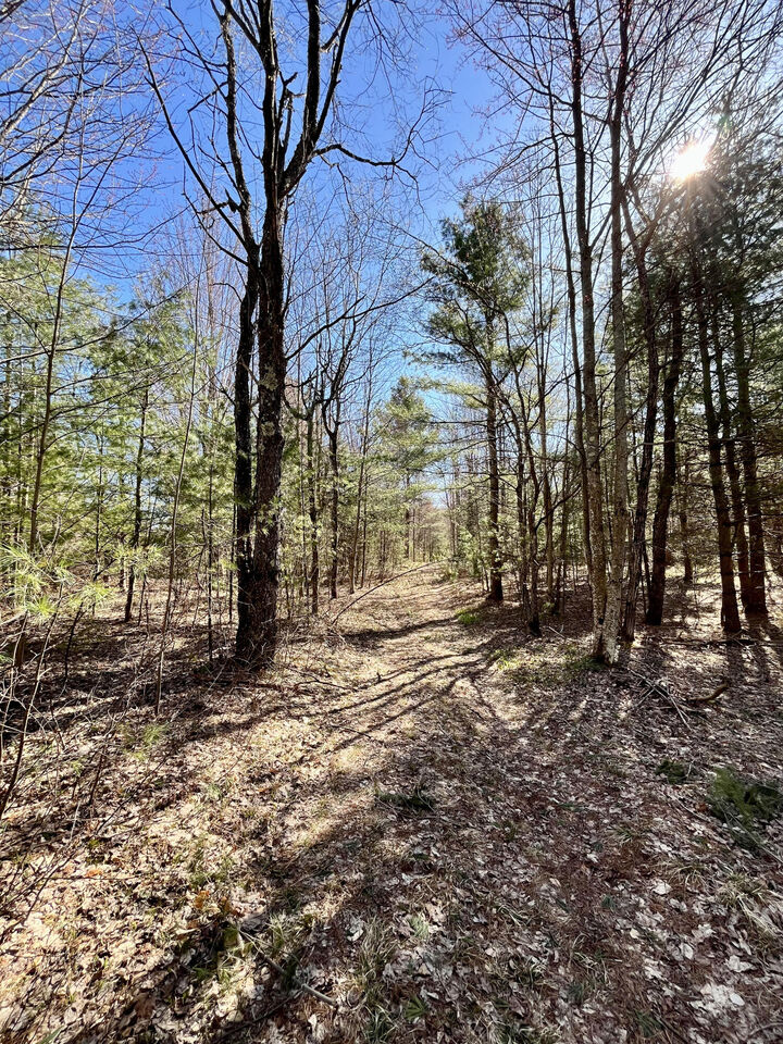 Property Photo:  Off Oswegatchie Trail Road  NY 13690 