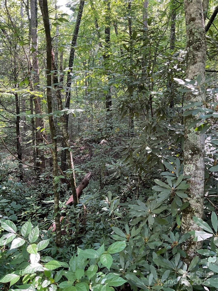 Property Photo:  0 S Poplar Drive 162  NC 28746 