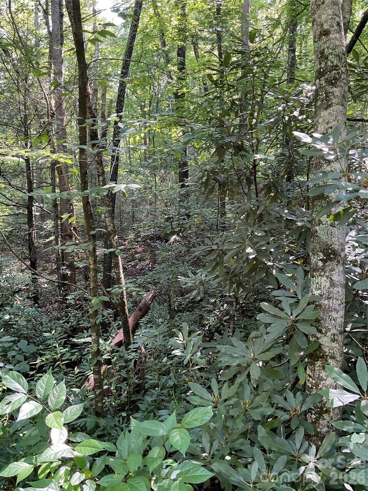 Property Photo:  0 S Poplar Drive 162  NC 28746 