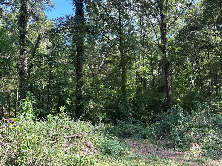 Property Photo:  966 Judkin Mill Road  GA 30125 