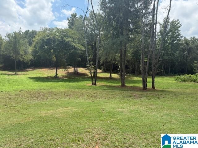 Property Photo: 580 Idalia Road 1 AL 35160