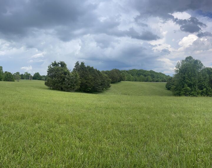 Property Photo:  Lot 24 Parks Ridge  KY 42642 