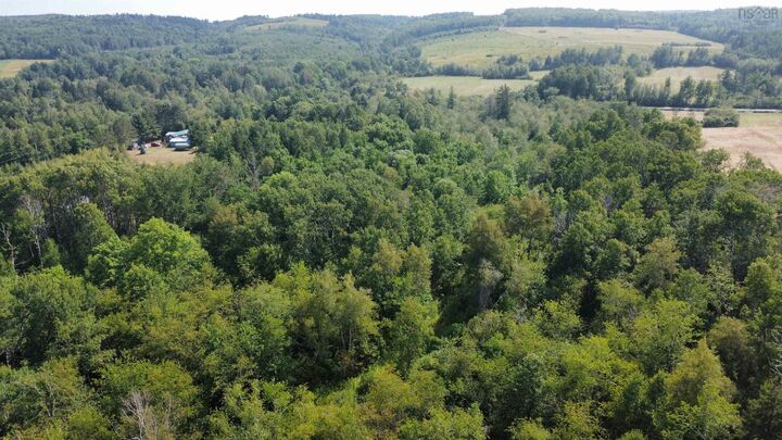 Property Photo:  Ripley #4 Road  NS B0M 1E0 