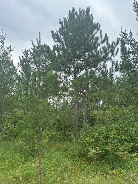 Property Photo:  Tbd Memorial Lane NW  MN 56601 