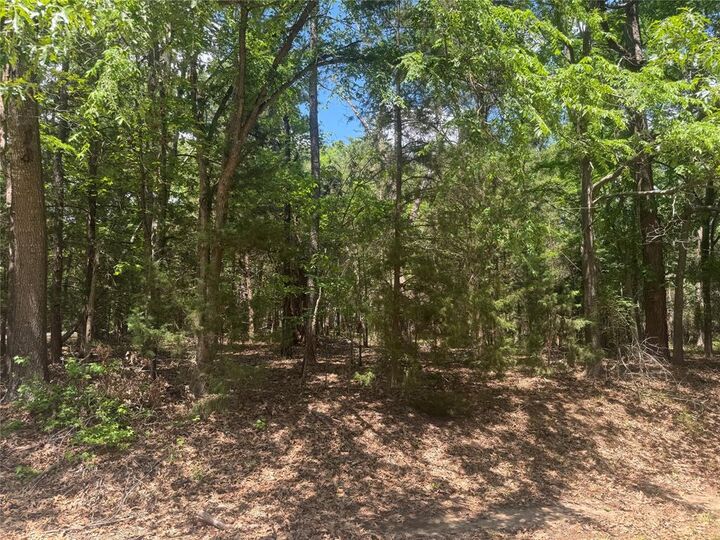 Lot 73 Cypress Cr  Mount Vernon TX 75457 photo