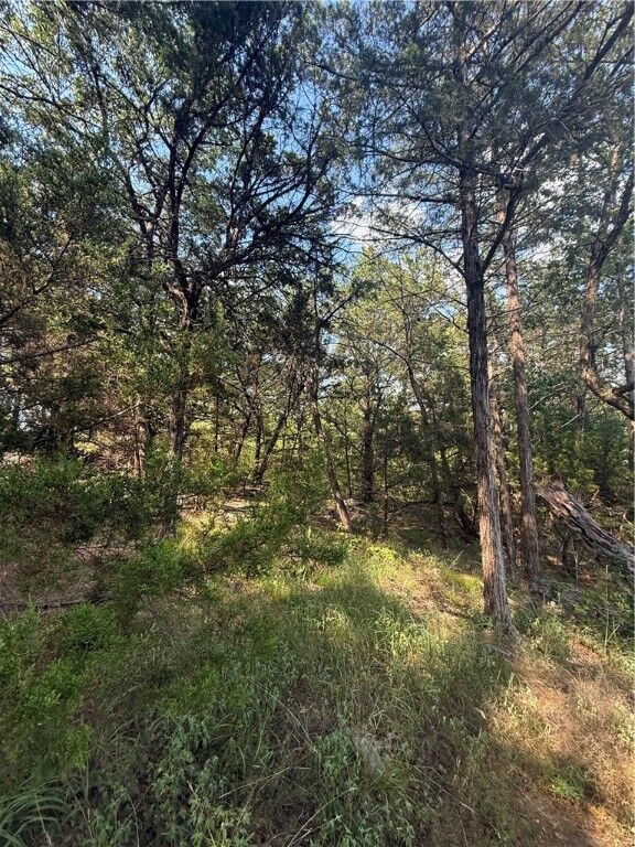 Property Photo:  74 Twin Peak Drive  AR 72631 