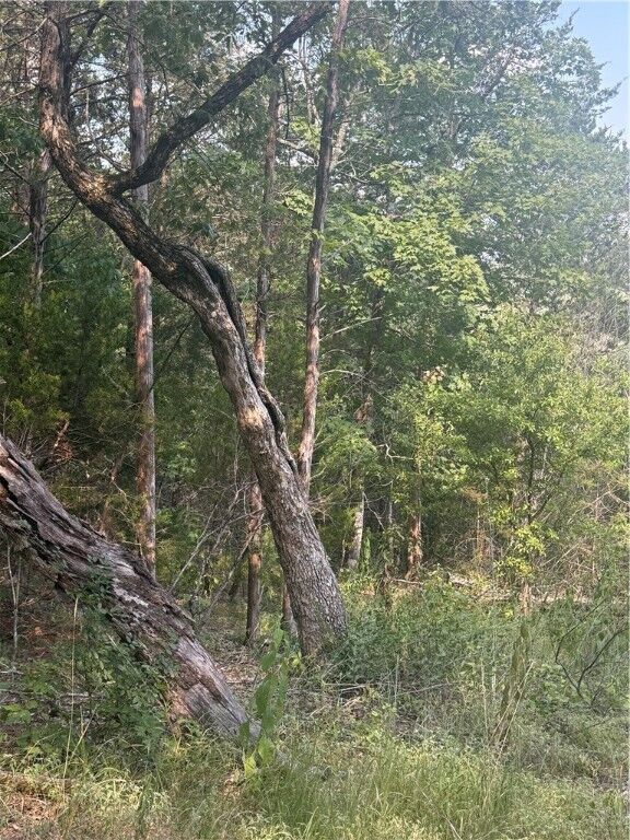 Property Photo: 74 Twin Peak Drive AR 72631