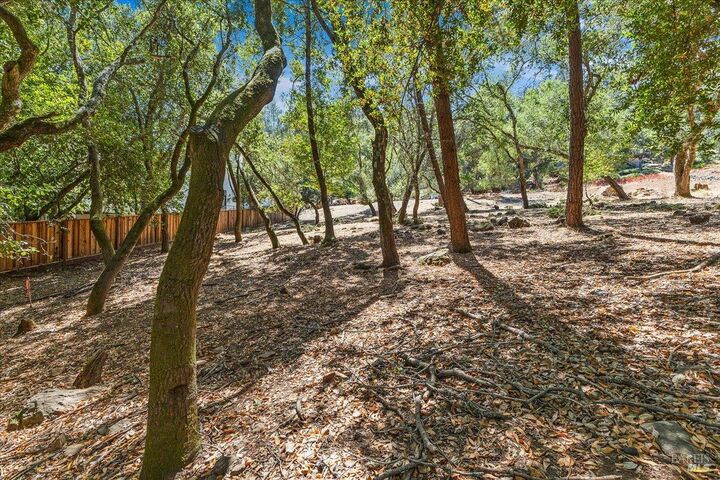 796 Los Olivos Road  Santa Rosa CA 95404 photo